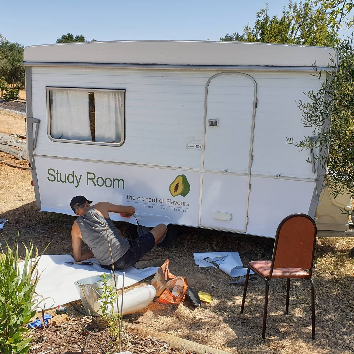 Study room at Orchard of flavours edible botanical garden. Visit our database on www.orchardofflavours.org
#subtropicalgarden #sustainablelife #permaculturetavira #permaculturedesign #permacultureworkshop #tourismPortugal