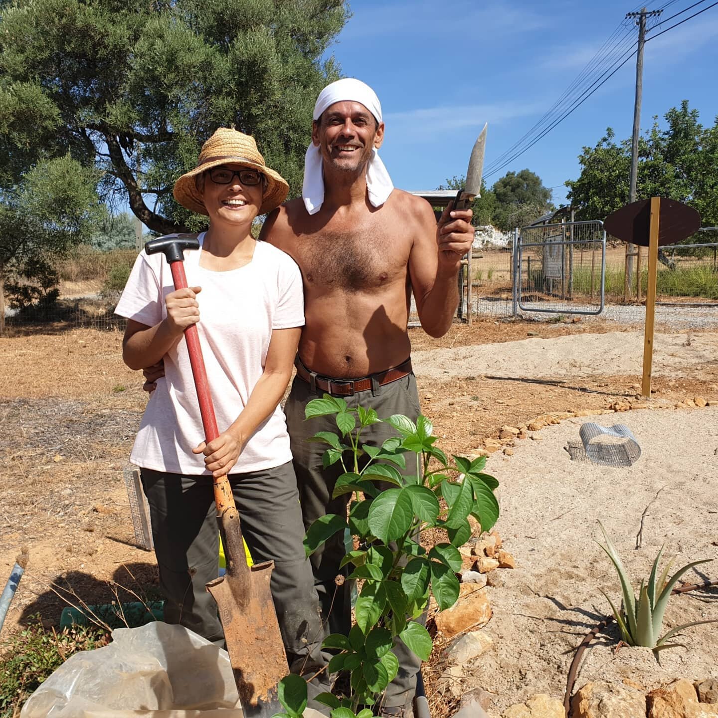 Planting a Baobab (Andansonia digitata) in the Orchard of Flavors, edible botanical garden in Tavira. Thanks to Z&eacute; and Monica, Portuguese Wwoofers. Mix of sand, compost, horse manure compost and gravels. #baobab #andansoniadigitata #botanicalg