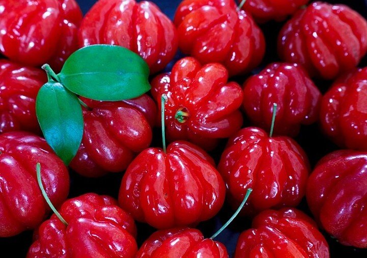 Fruit Quiz! Can you guess the name of this type of cherry and where it originated? 🍒 🌍

The edible fruit is a botanical cherry. The taste ranges from sweet to sour, depending on the cultivar and level of ripeness. Its predominant food use is as a f