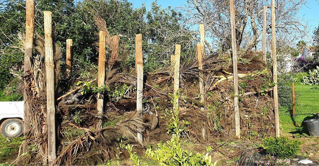 Building an organic multi purpose windbreak: protection against the North wind, insect hotel, compost pile,... Read our article on www.orchardofflavours.com 
#windbreak #permaculturedesign #insecthotels #compostpile #taviralovers
