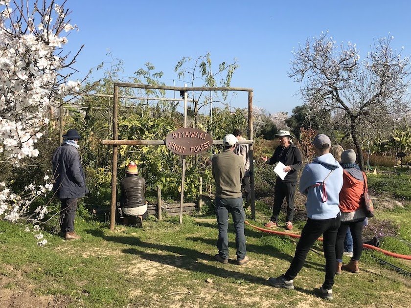 tour_miyawaki_fruit_forest_small.jpg