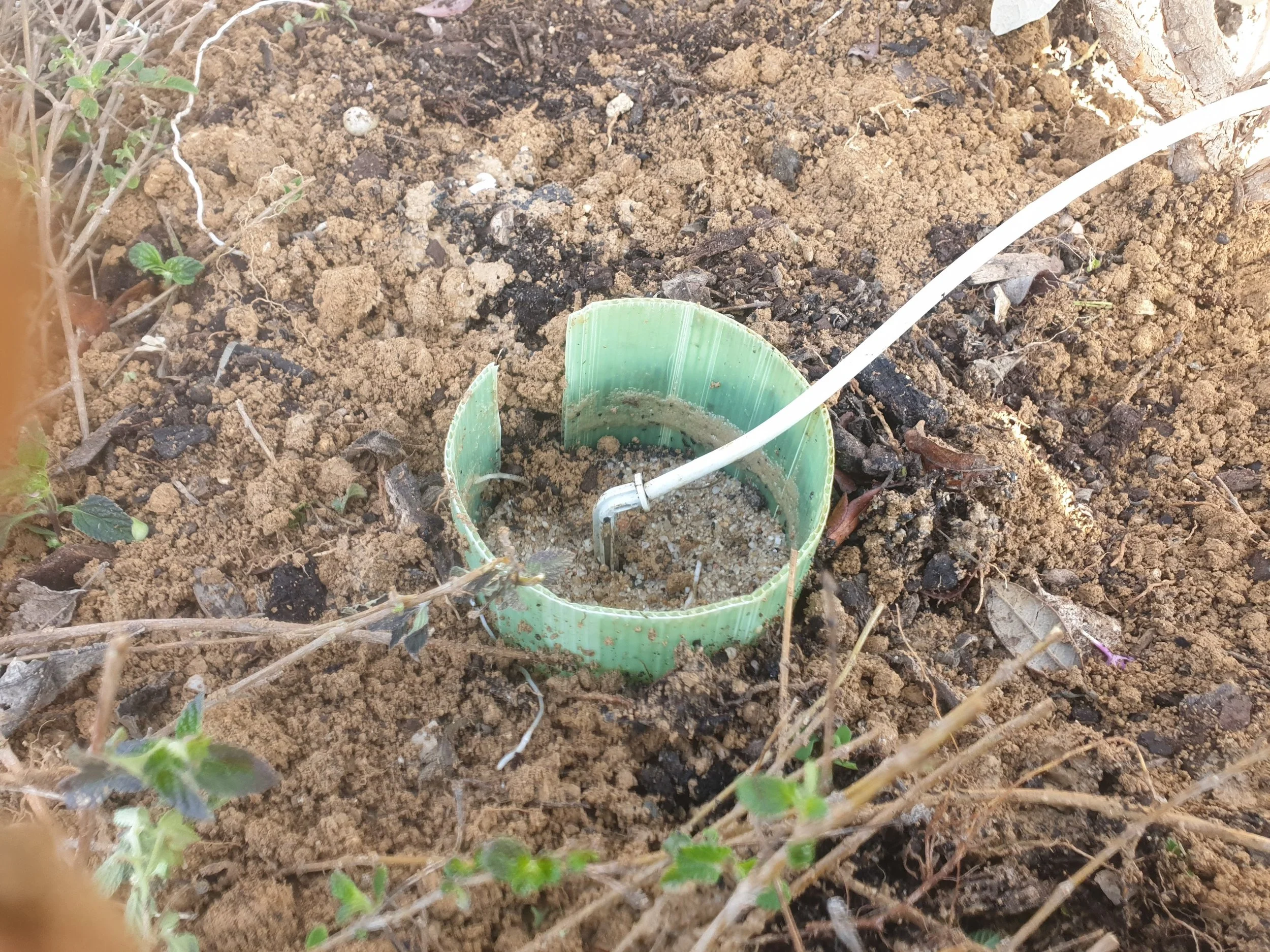 Howto Deep irrigation for clay soils Orchard of Flavours