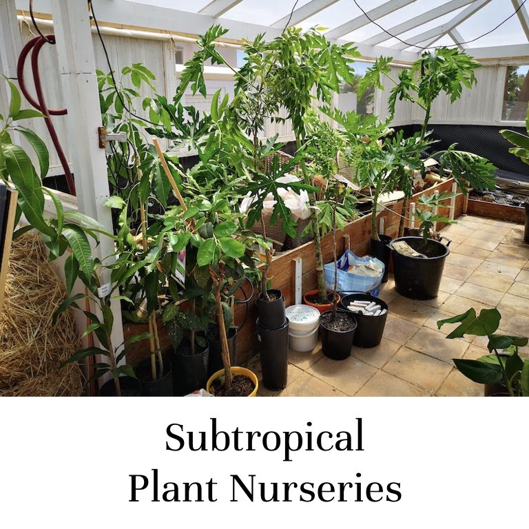 Subtropical Plant Nurseries