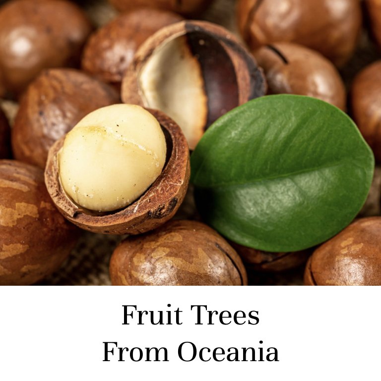 Fruit Trees From Oceania