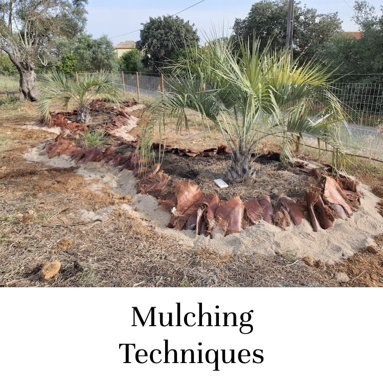 Mulching Techniques