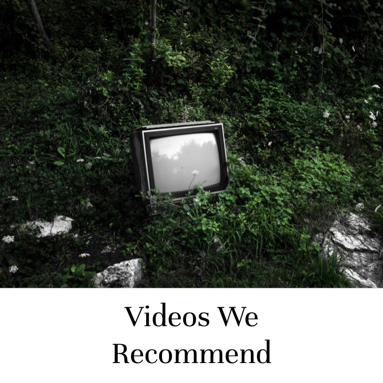 Videos We Recommend