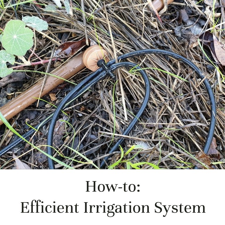How-to: Efficient Irrigation System