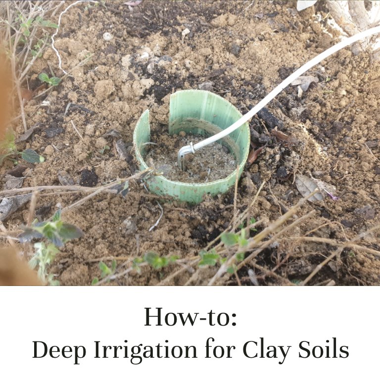 How-to: Deep Irrigation For Clay Soils