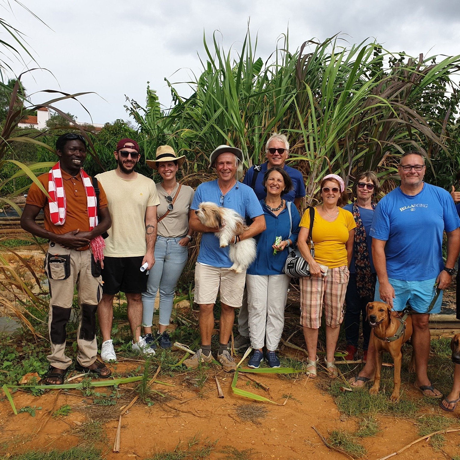 Guided tour group photo