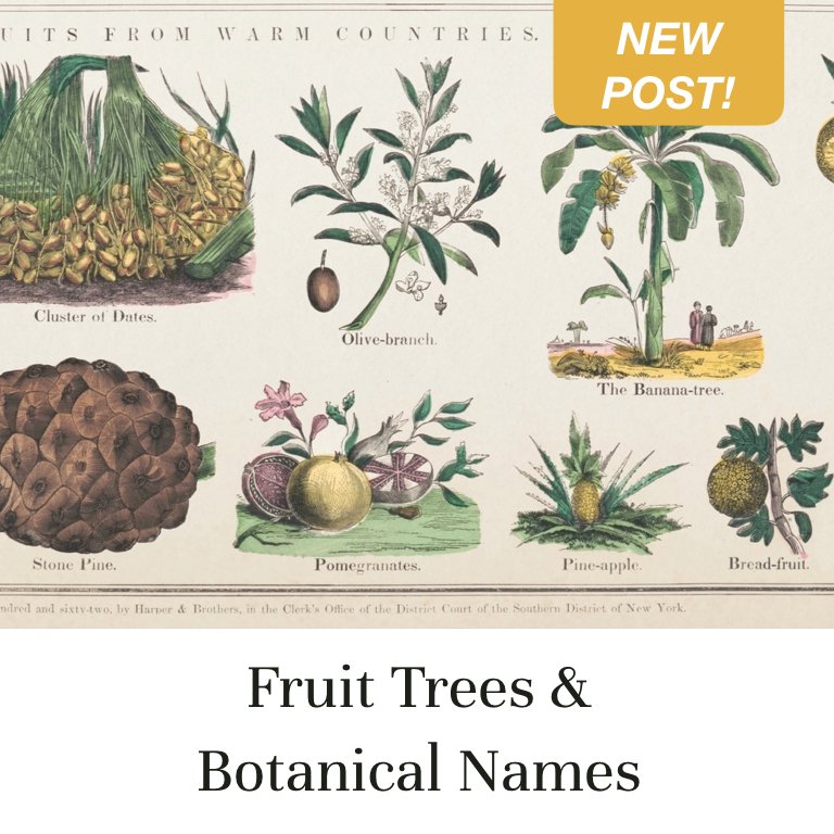 Fruit Trees & Botanical Names