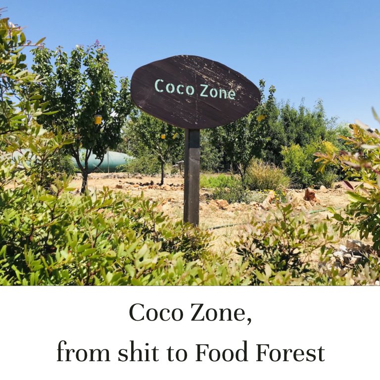 Coco Zone, from shit to Food Forest