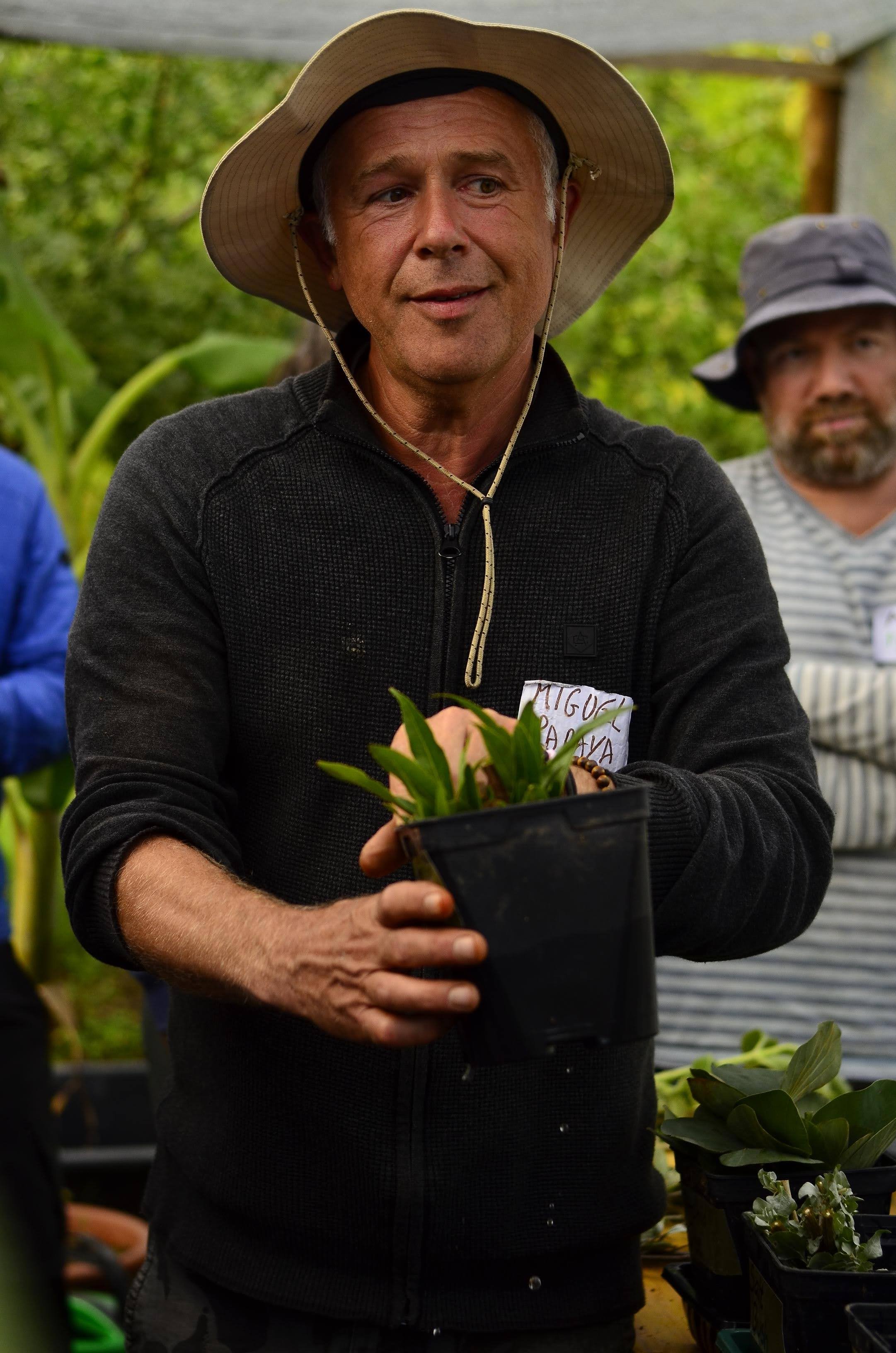 Miguel COTTON and plant cuttings