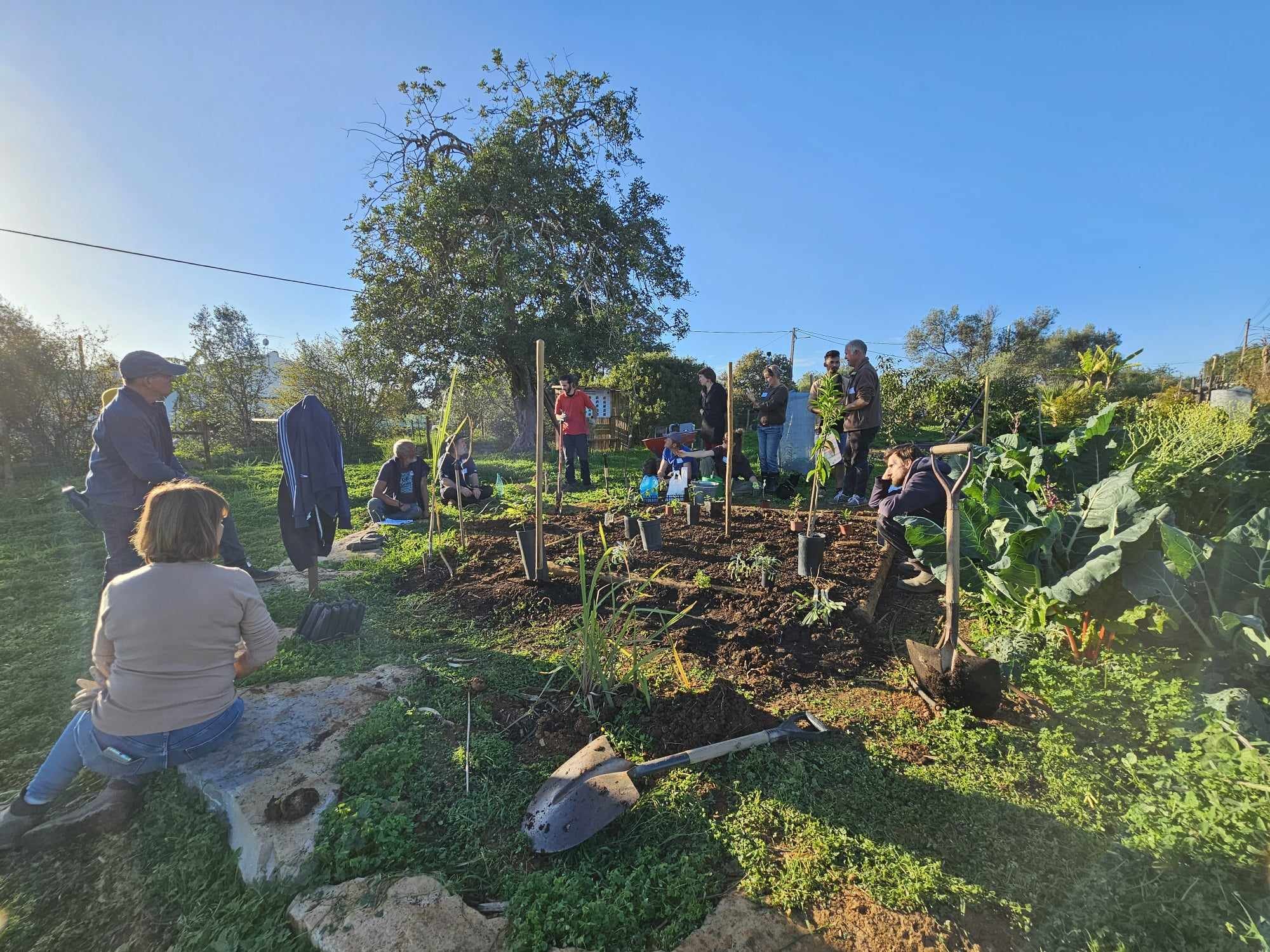 Luís AFONSO teaching a Mini Food Forest workshop