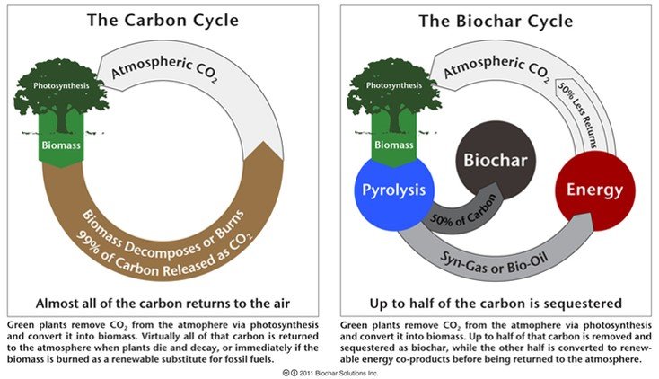 The Carbon cycle vs the Biochar cycle