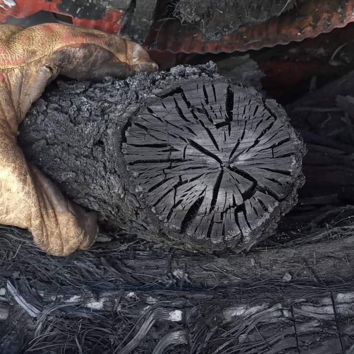 Product of a Biochar burn of wood logs