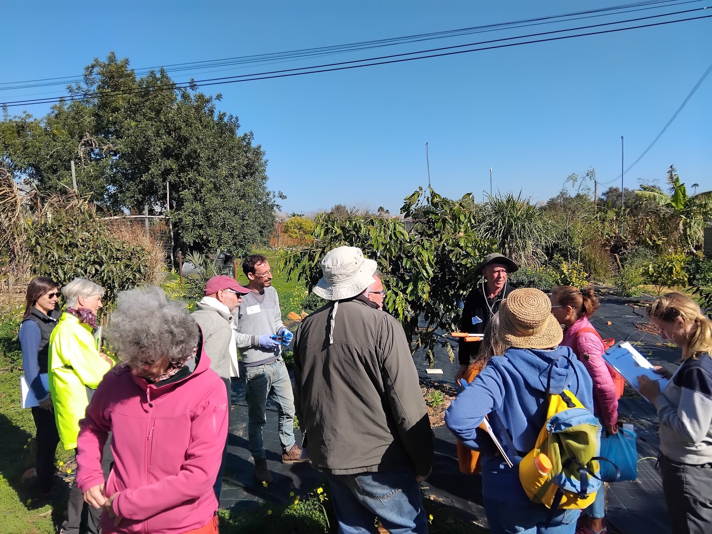 Miguel Cotton and Dror Avital teaching the Fruit Tree Care workshop