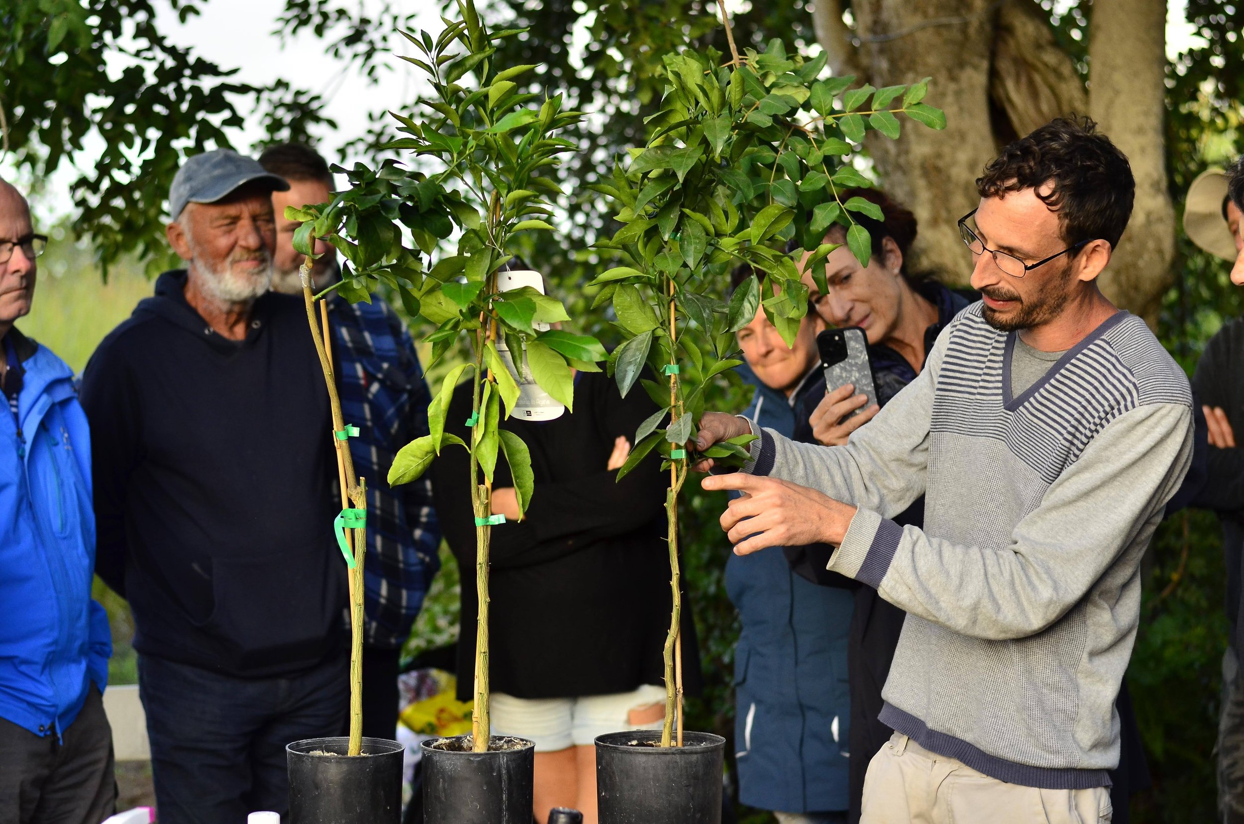 Dror AVITAL explaining the principles of fruit tree pruning and grafting during a workshop at Orchard of Flavours botanical garden