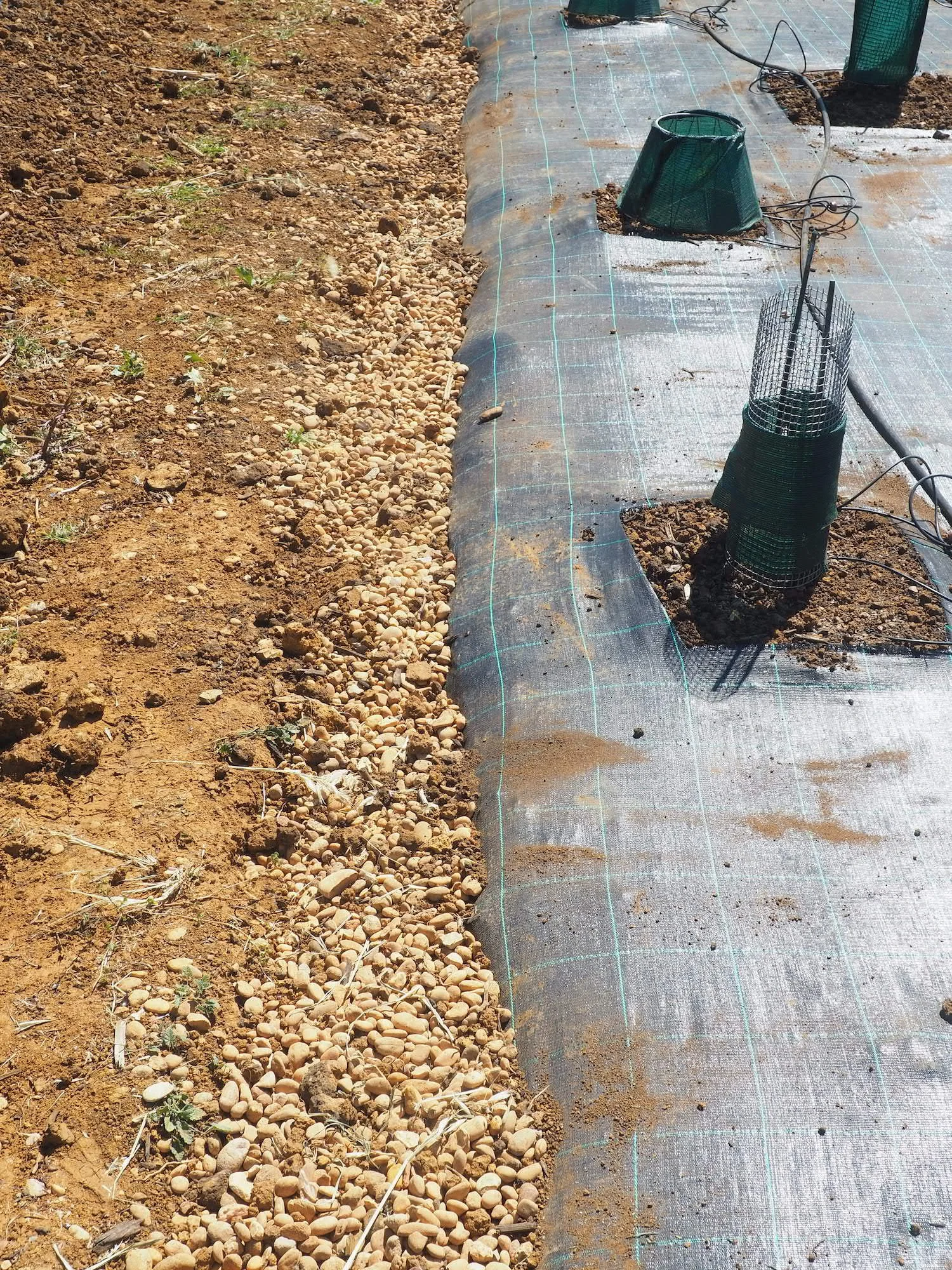 One of the many river pebble trenches for infiltrating rain water