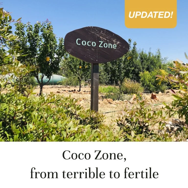 Coco Zone, from terrible to fertile (Copy)