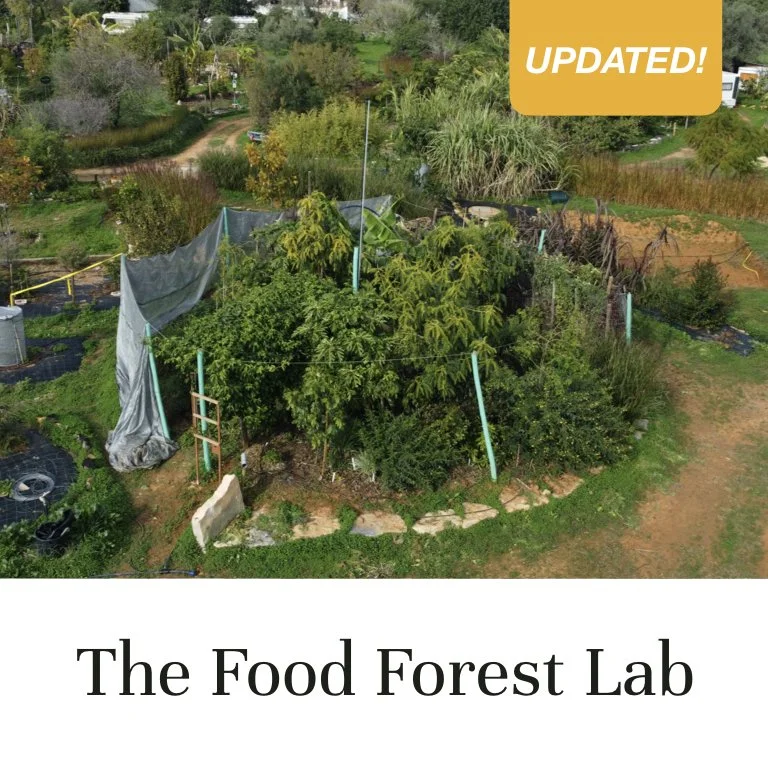 The Food Forest Lab (Copy)