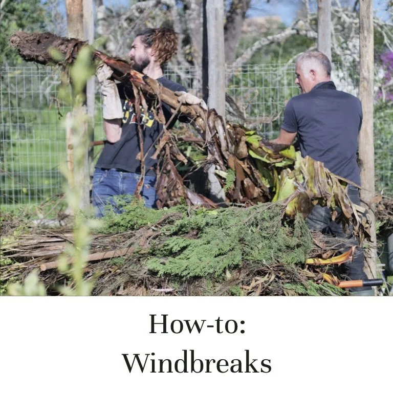 How-to: Windbreaks (Copy)