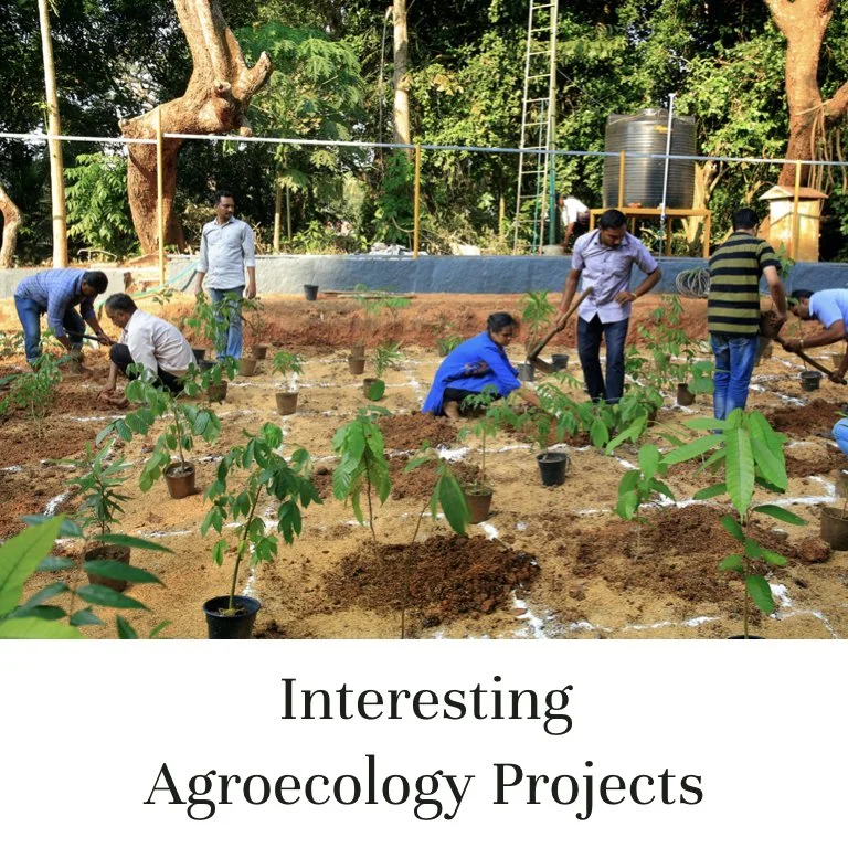 Interesting Agroecology Projects (Copy)