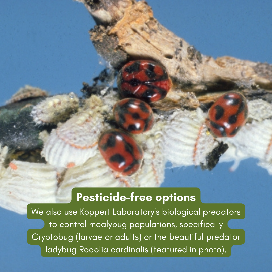 Biological Predators