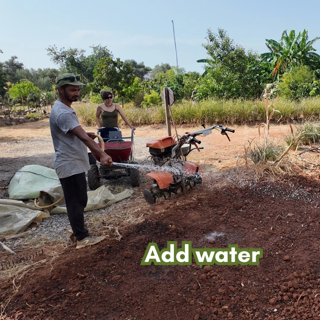 soil solarisation visual guide.jpg
