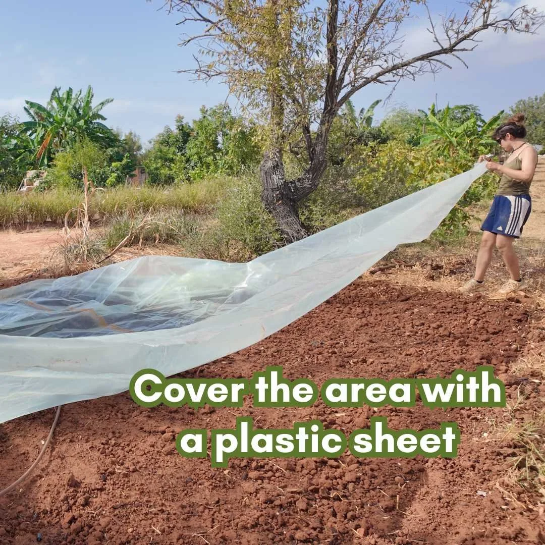 place plastic sheet 2.jpg