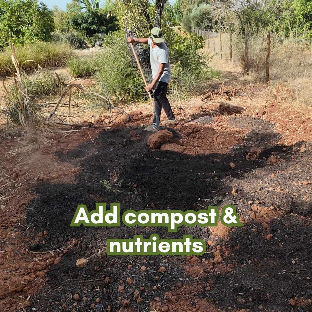 add compost 2.jpg