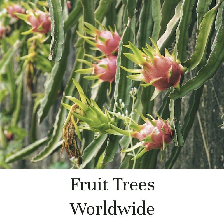 Fruit_Trees_Worldwide.001.jpeg
