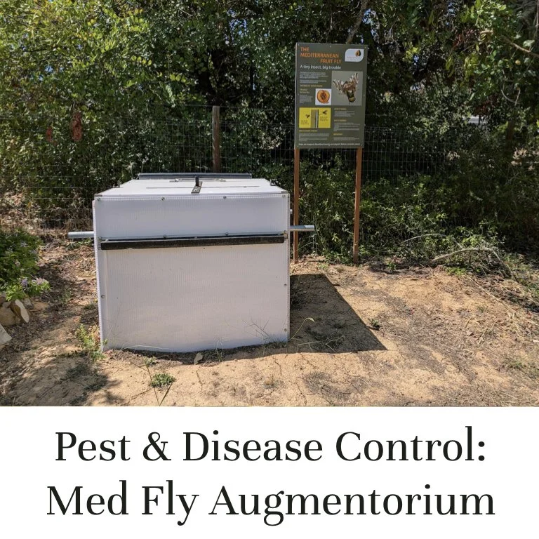 Pest and Disease Control — Mediterranean Fly Augmentorium