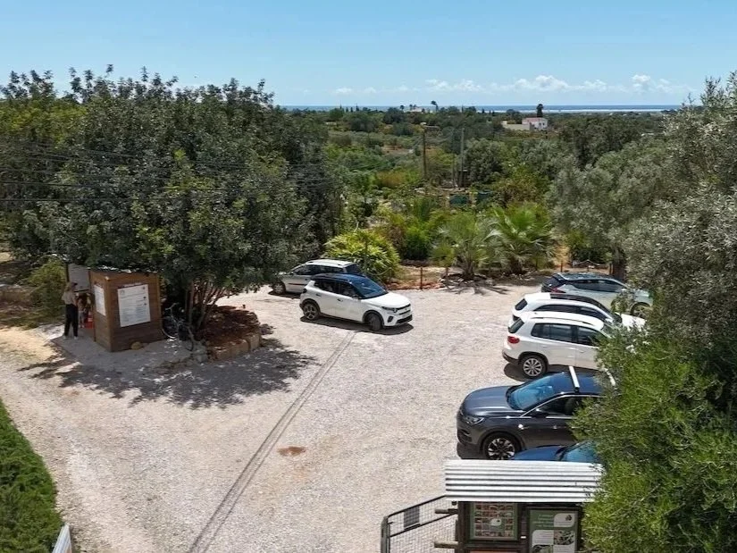 Parking area by the entrance to the botanical garden