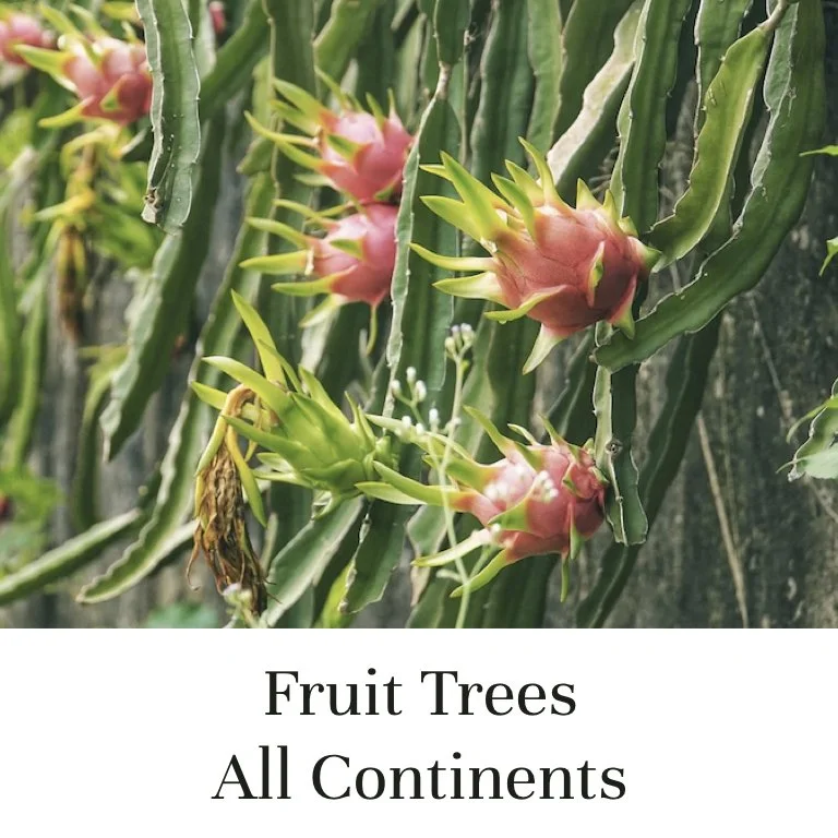 Fruit_Trees_All_Continents.jpeg