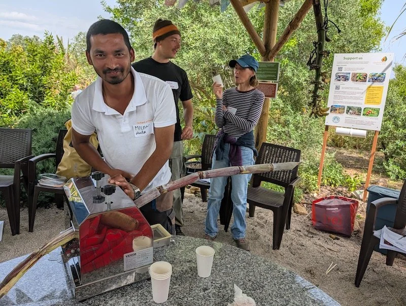 Pressing sugar cane by hand