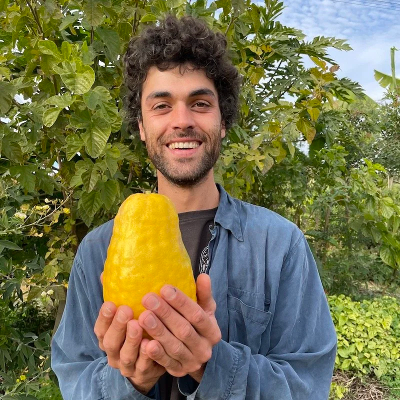Lucas Oliveira - Agronomist at Orchard of Flavours