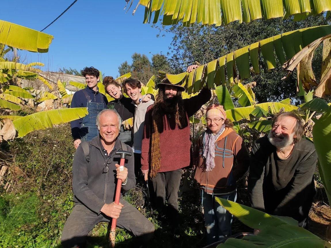 visiting banana plantation