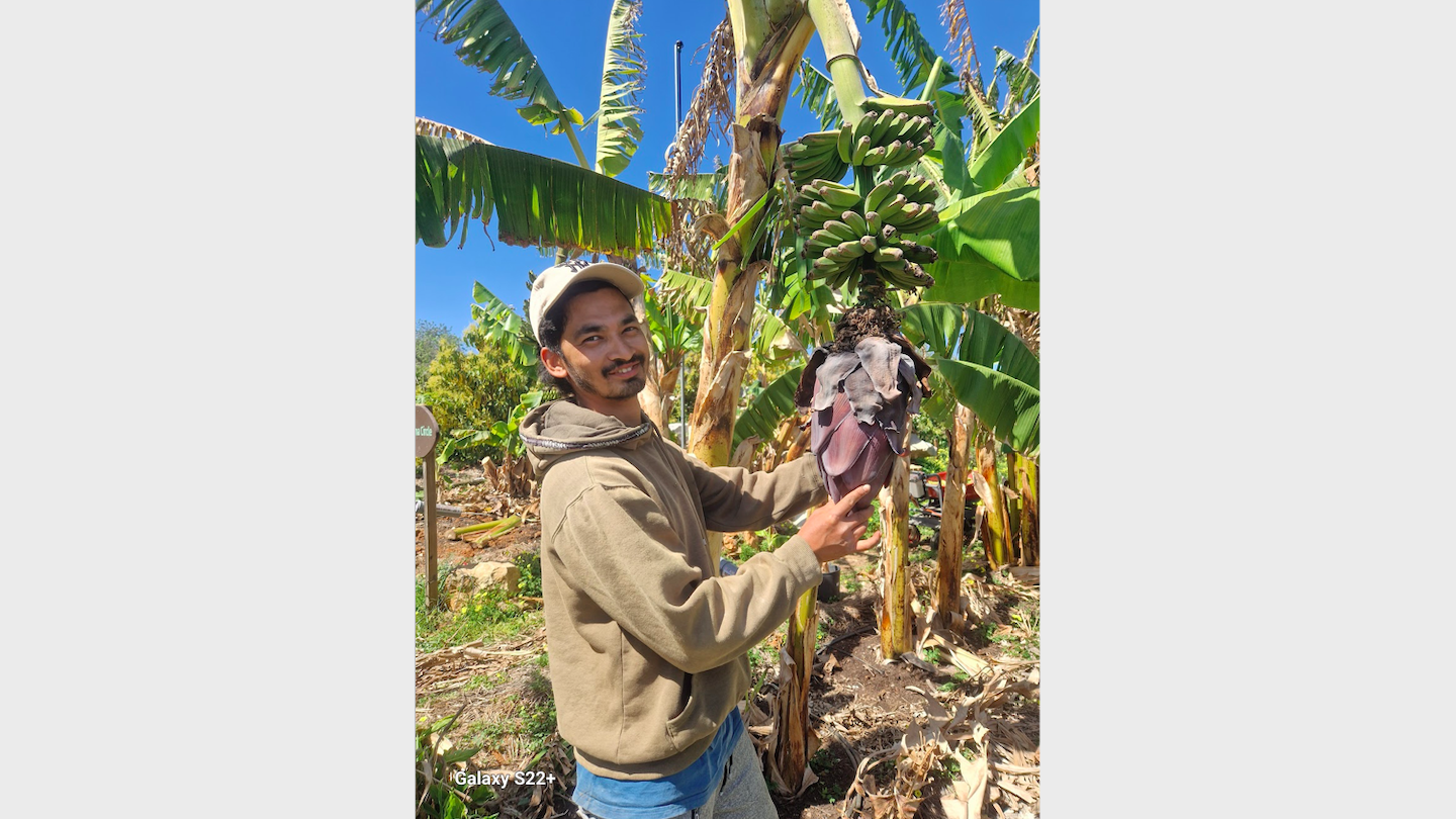 Milan_Nepali-Garden_steward_at_Orchard_of_Flavours.png