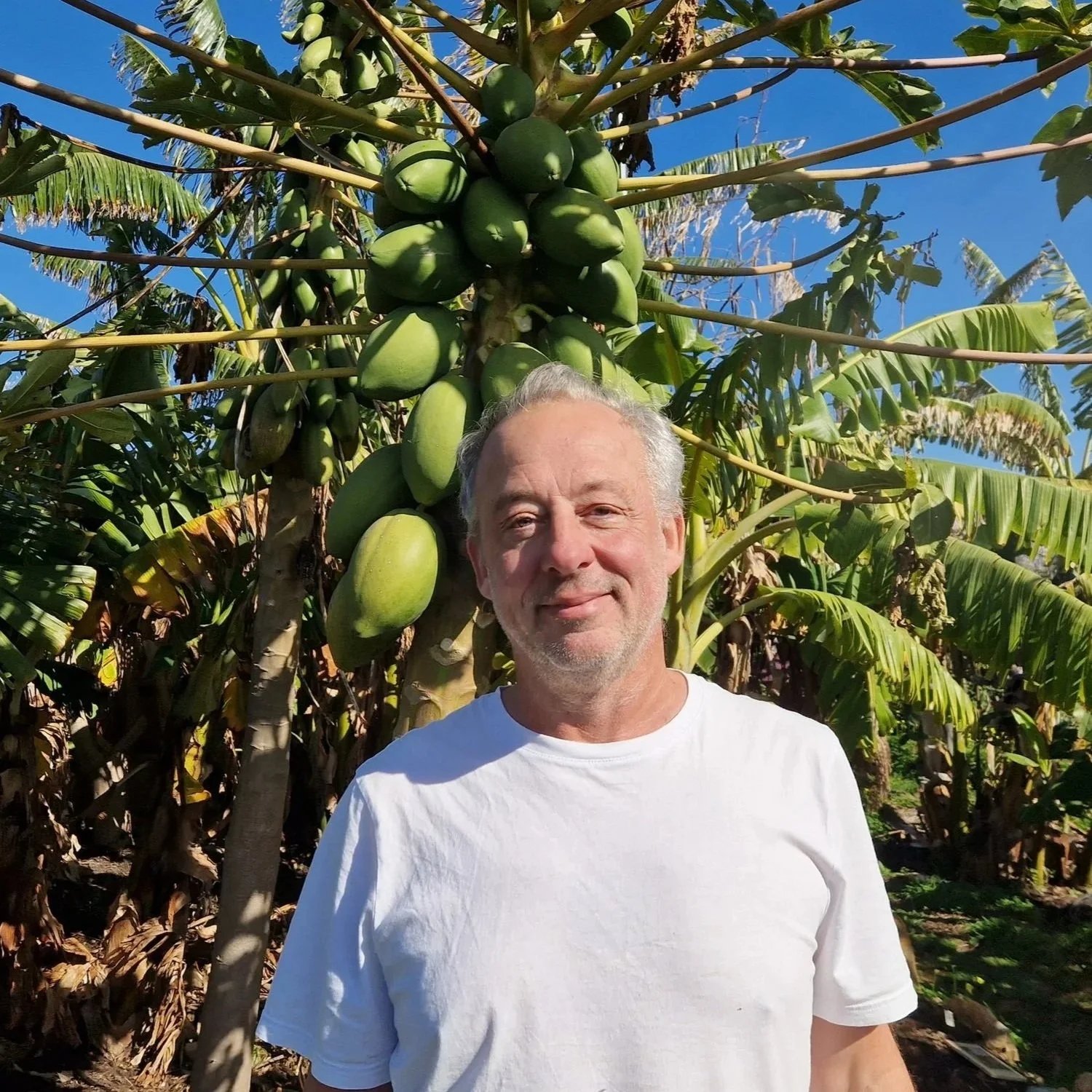 Dave Norwood — Advisor at the Orchard of Flavours