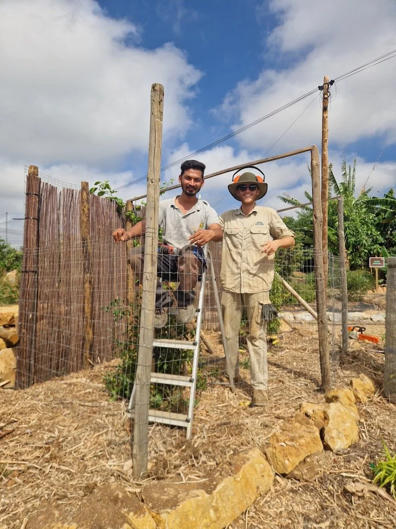 A handful of Eugenia uniflora, or pitanga, fruits
