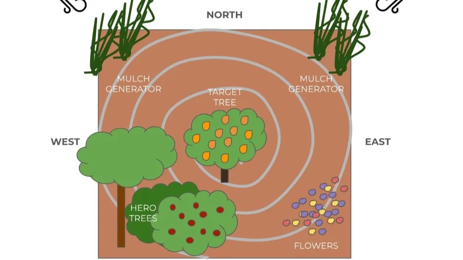 Cocoon Food Forest Diagram