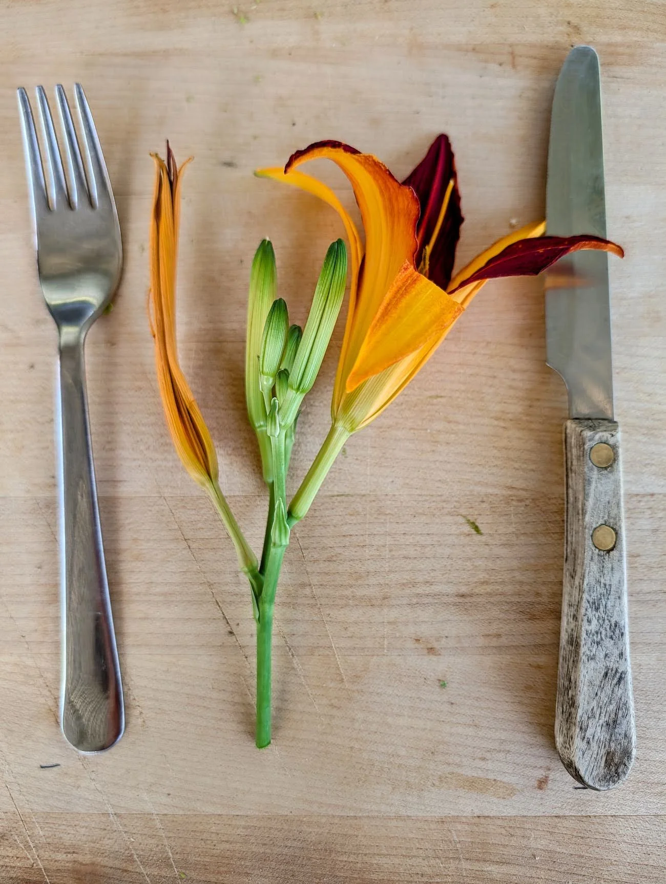 Daylily or Hemerocallis - Edible flower