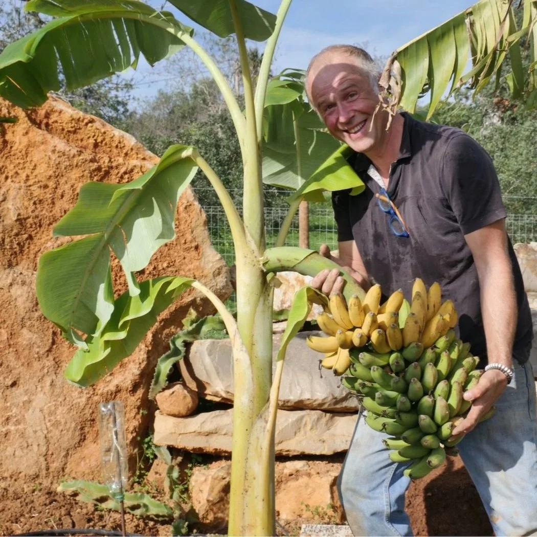 Miguel Cotton, Orchard of Flavours founder, holding a bunch of bananas