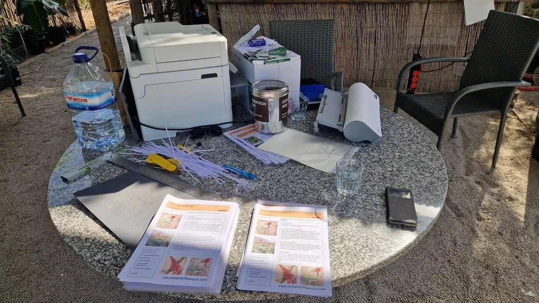 Preparing bilingual info sheets