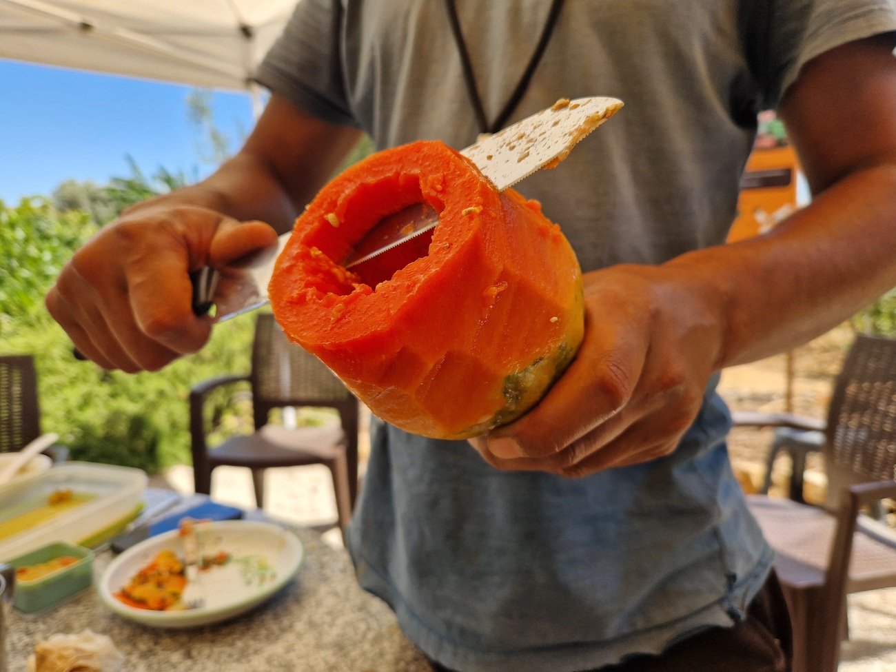 Delicious_papaya_fruit-Food_Forest.jpg