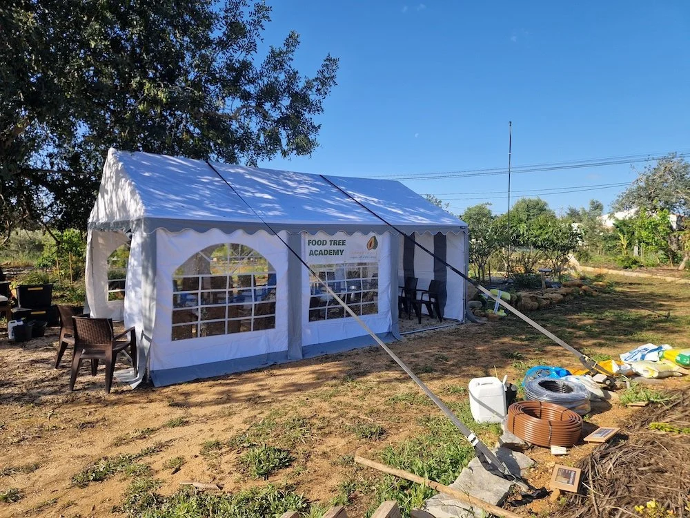 Food_Tree_Academy-Courses_tent.jpg