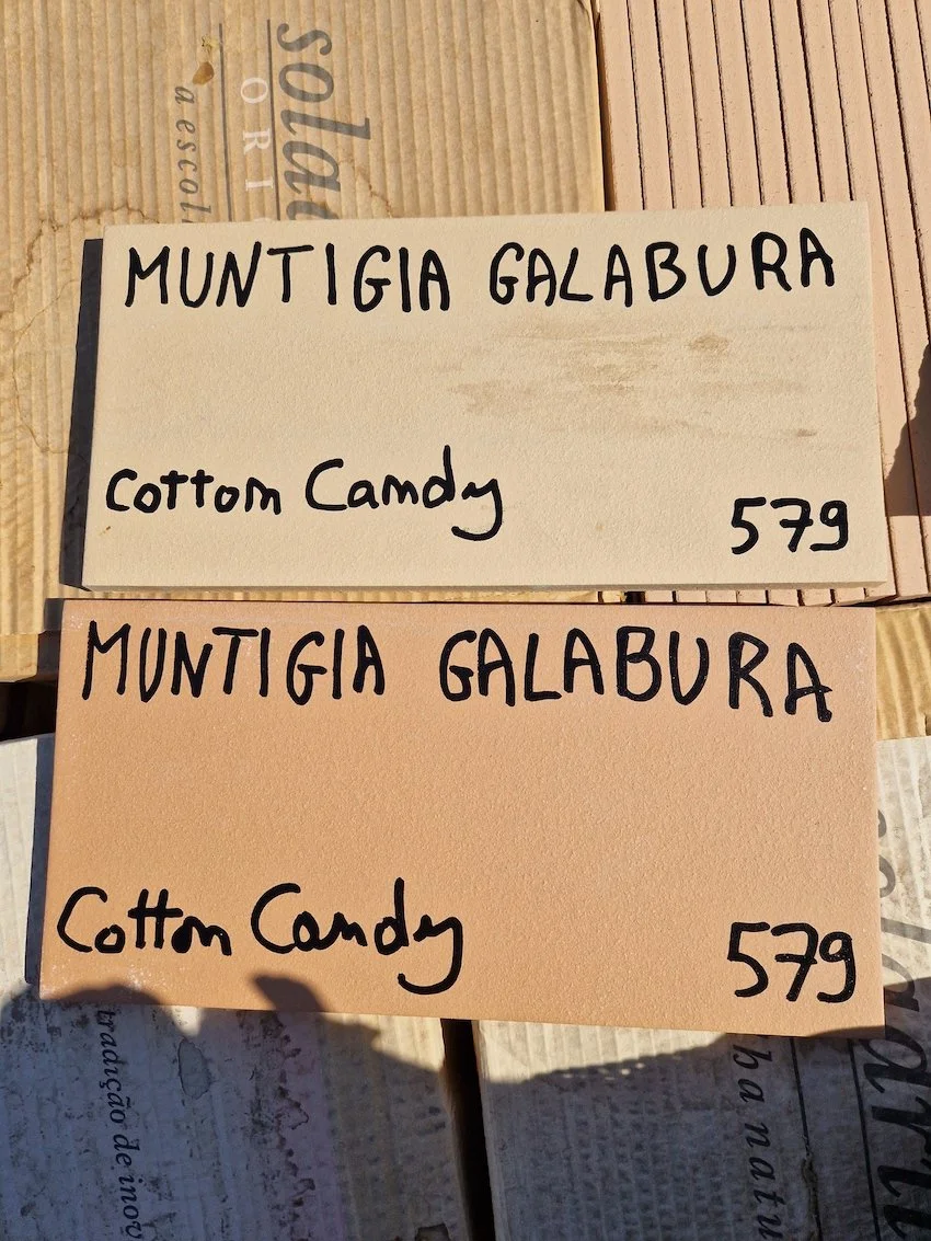 Muntingia calabura - Cotton candy tree - Preparing name plaques