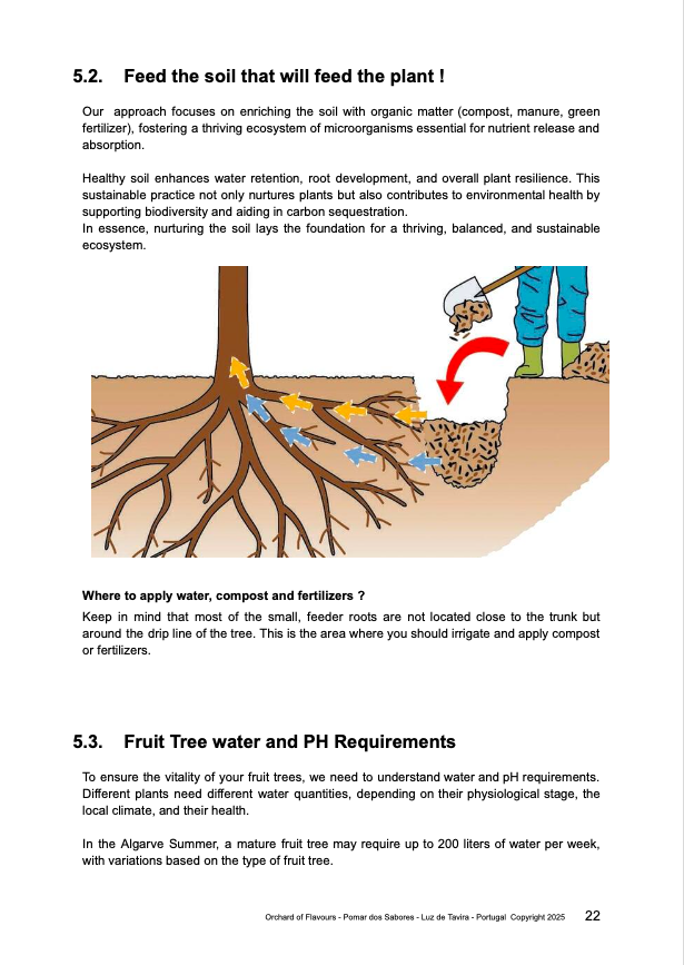 How to Prune Fruit Trees for Balanced Growth: Expert Tips Revealed