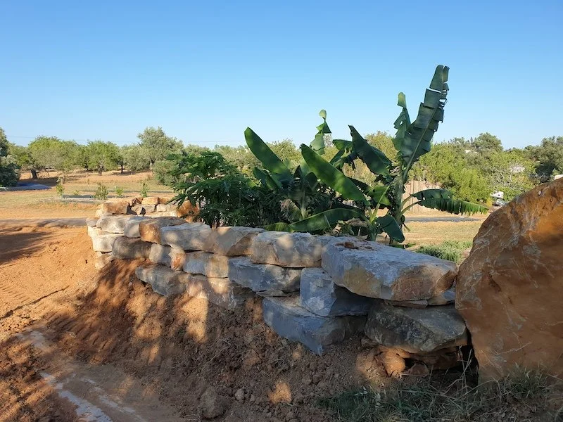 stone_wall_banana_trees.jpg