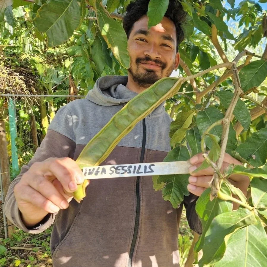 Milan Nepali — Garden Manager and Workshop Instructor at the Orchard of Flavours